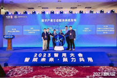 <b>也正在加快鞭策保守财产转</b>